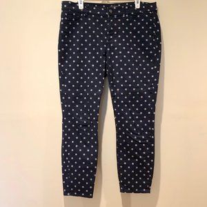 Ann Taylor Daisy Embroidered Skinny Pants